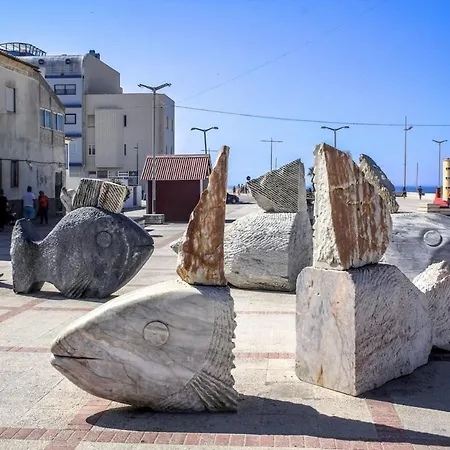 Furadouro Pine 公寓 *