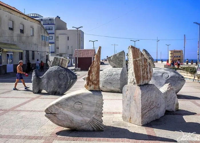 Furadouro Pine 公寓 *