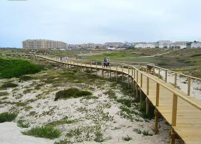 Furadouro Pine * 欧瓦