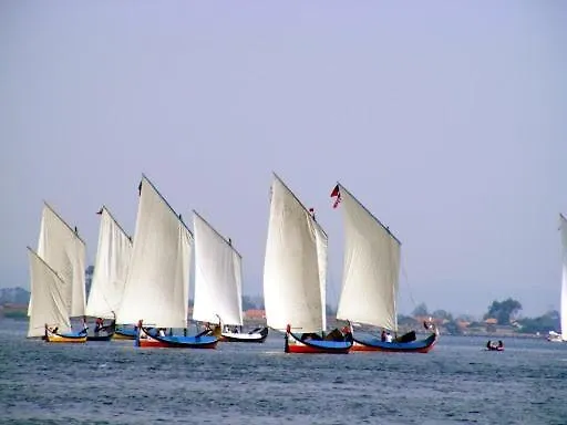 公寓 Furadouro Pine 欧瓦