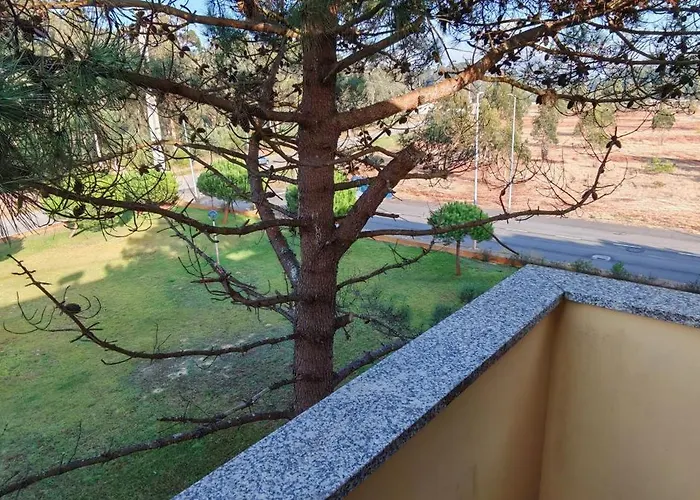 דירה Furadouro Pine