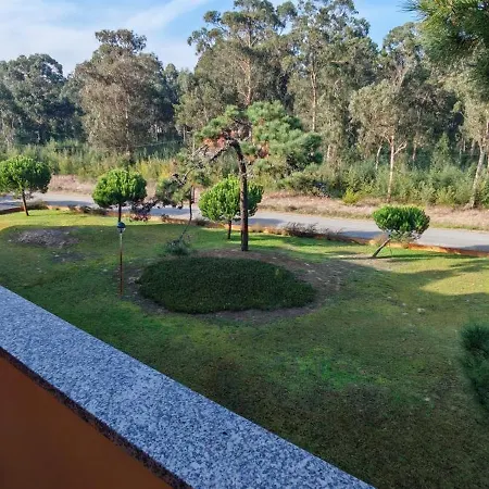 Furadouro Pine Ovar
